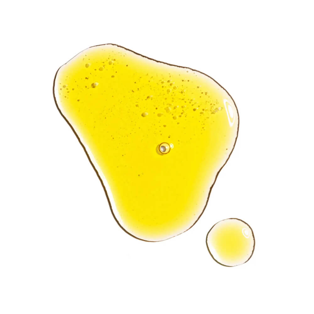 Rose Hip Seed